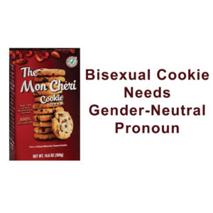 non gender-neutral pronoun cookies