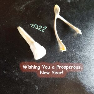 Wishbone Wish for 2022