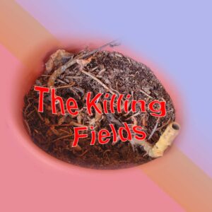 dead plant in the killing fields