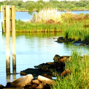 Baytown Nature Center