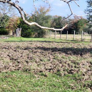 feral hog property damage