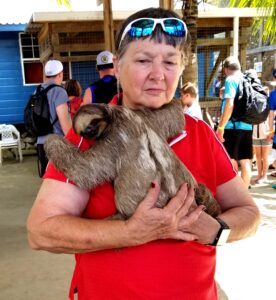 walk on the wild side petting a sloth