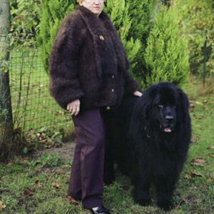 dog hair yarn coat