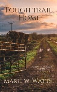 tough trail home cover design liked