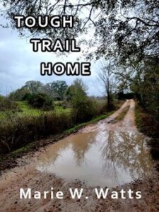 tough trail home cover design original picture