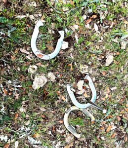 eclipse horseshoe game