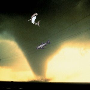 sharknado  tornado with live sharks in it