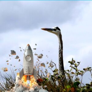 Boca Chica bird with exploding SpaceX Rocket