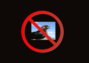 license to kill no cowbird