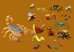 home invasion insects