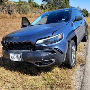 deer crash