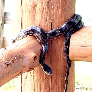 non internet activities